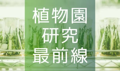 植物園研究最前線「シコクカッコソウ遺伝子資源から見えてきた花の色の多様性」