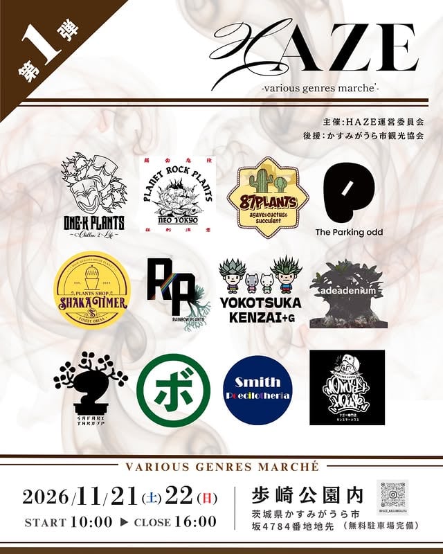 HAZE -various genres marche -