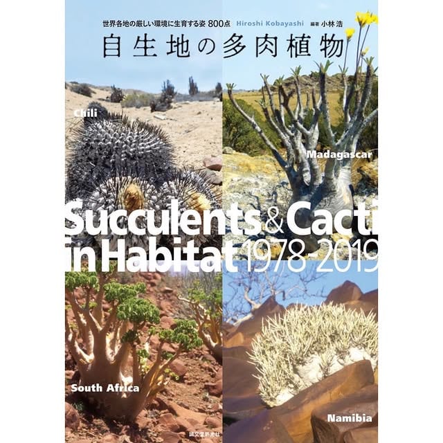 多肉植物展 (展示即売会)