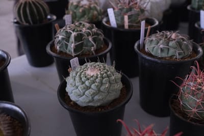 行ってきましたレポの写真 4