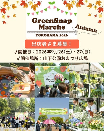 GreenSnap Marche YOKOHAMA 2026 Autumn