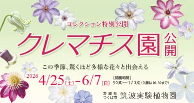 クレマチス特別セミナー 「カザグルマの多様性および保全と、テッセンを中心とした種間交配の成果と今後の育種の可能性」
