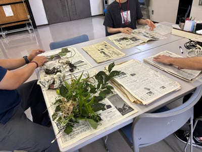 花と緑の教室「【おやこ・連続講座】植物標本をつくって自然を記録する」