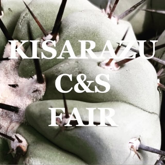 KISARAZU C&S FAIR