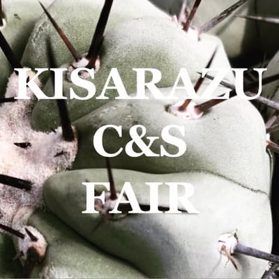 KISARAZU C&S FAIR