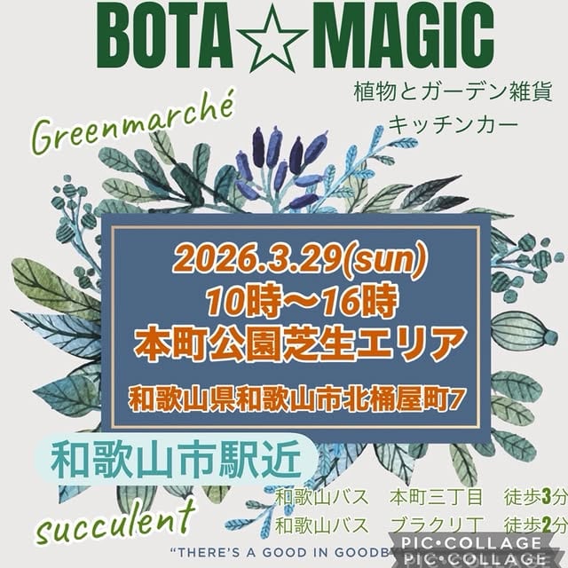 BOTA☆MAGIC