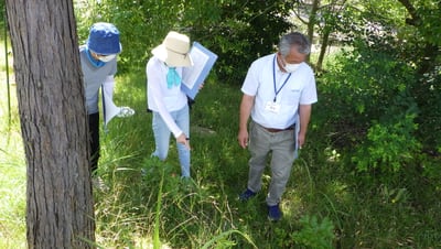 花と緑の教室「園内解説walk～初夏の雑草をみにいこう！～」