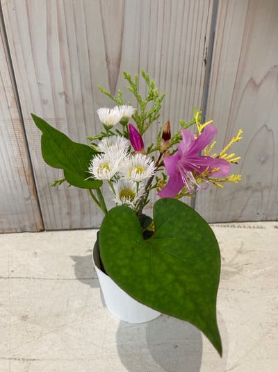 だれでも体験プログラム5月「季節の生け花をつくろう！」