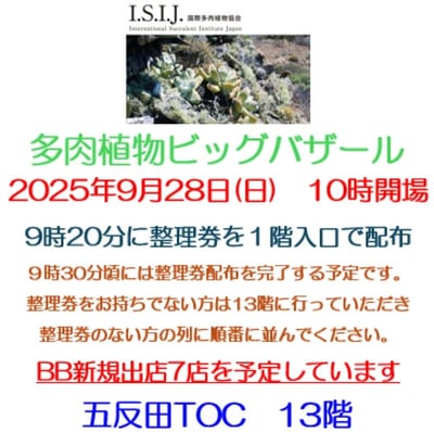 サボテン・多肉植物ビッグバザール 2025年9月