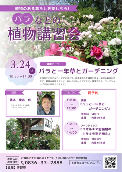 「ハオルチア窓植物のキラキラ寄せ植え」ワークショップ