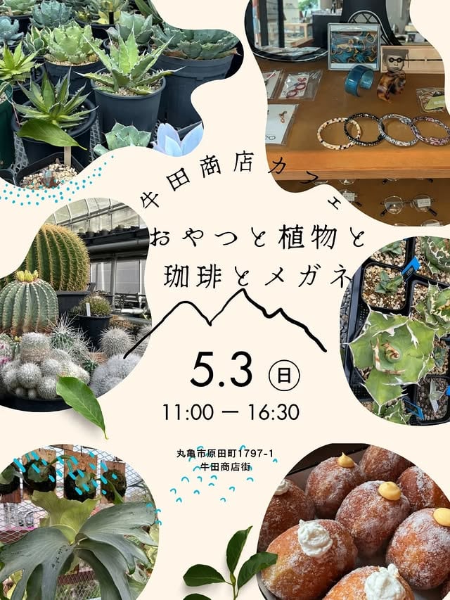 おやつと植物と珈琲とメガネ