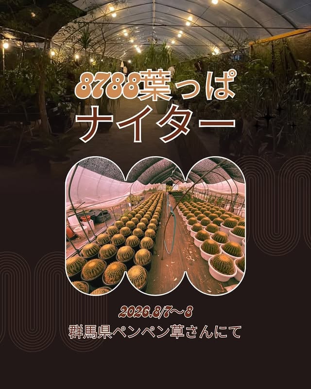 8788 花🪷葉っぱ🌿ナイター