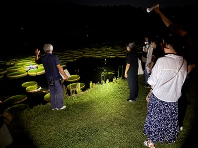 花と緑の教室「園内解説walk～夜に咲く花・香る花をみにいこう！～」