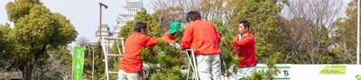 第52回ひめじ緑いち