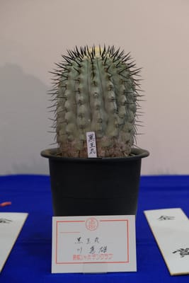 行ってきましたレポの写真 2