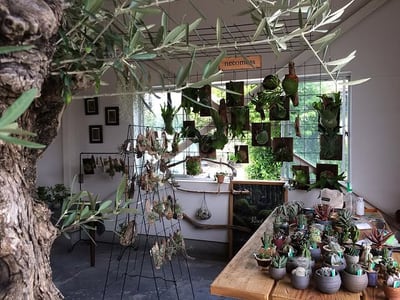 Roots green market
