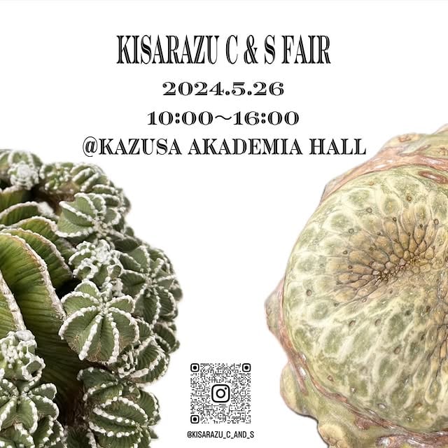 KISARAZU C&S FAIR