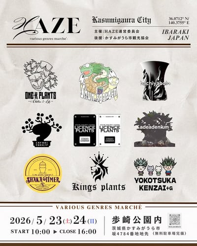 HAZE -various genres marche -