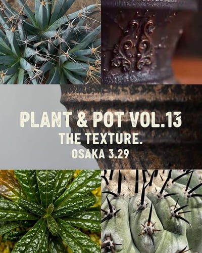 PLANT & POT VOL.13