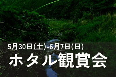 令和8年度 ホタル観賞会