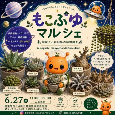 もこぷゆマルシェ