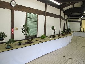 秋の小品盆栽展