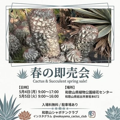 春のサボテン即売会