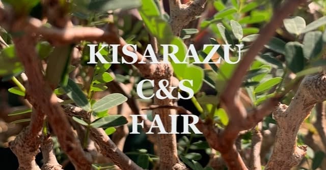 KISARAZU C&S FAIR