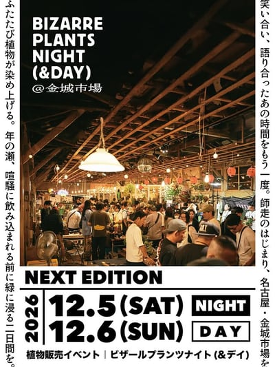ビザールプランツナイト(&デイ)