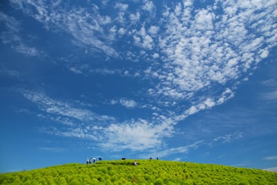 海浜公園写真展