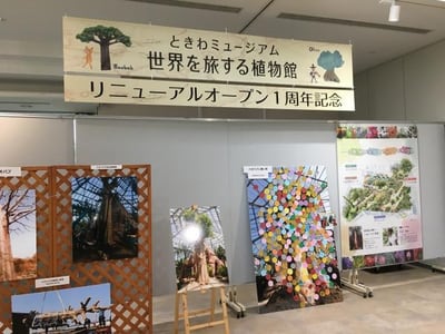 多肉植物・サボテン寄せ植え