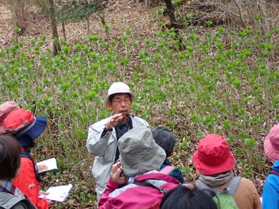 第1回自然観察講座「新緑を訪ねて」