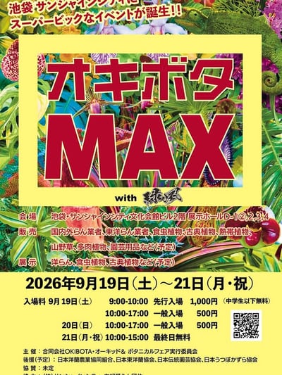 オキボタMAX with 緑ノ風
