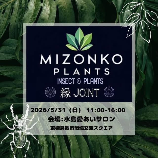 MIZONKO PLANTS