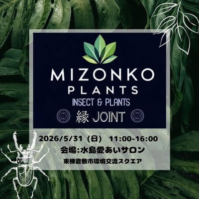 MIZONKO PLANTS