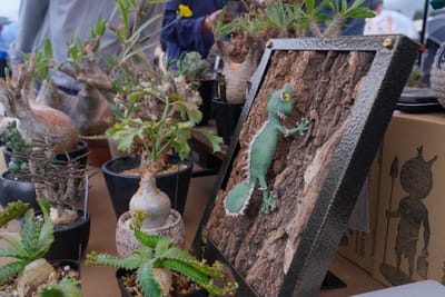 行ってきましたレポの写真 4