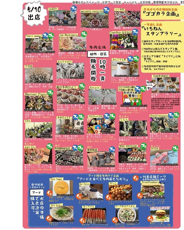 多肉もろもろ市場