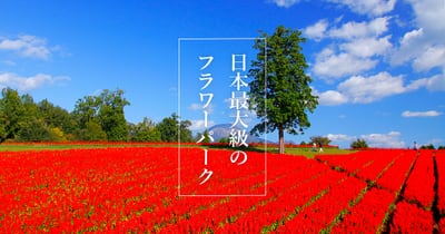 《追加募集》ハーブ・アロマ教室