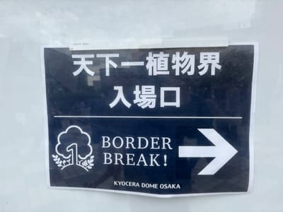 行ってきましたレポの写真 2