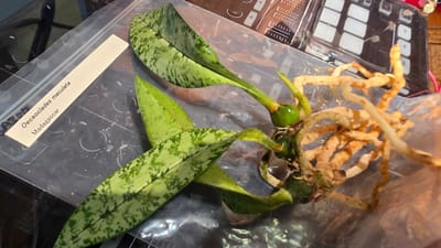 行ってきましたレポの写真 1