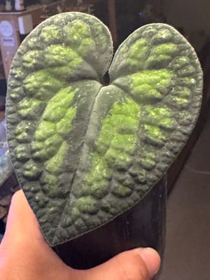 行ってきましたレポの写真 2