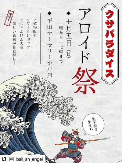 草パラダイス vol.7