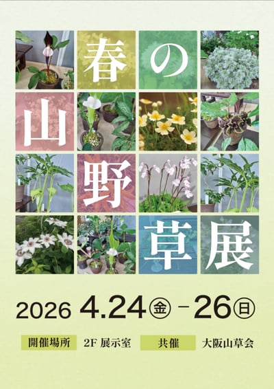 春の山野草展