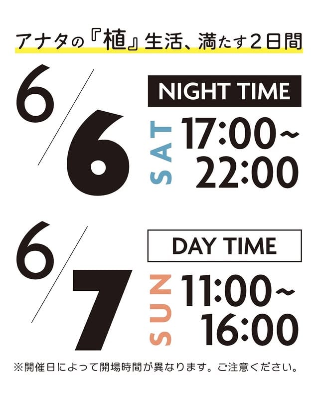 ビザールプランツナイト（&デイ）