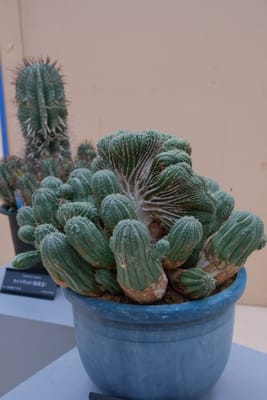 行ってきましたレポの写真 5