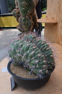 行ってきましたレポの写真 3