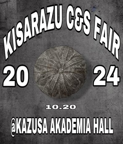 KISARAZU C&S FAIR