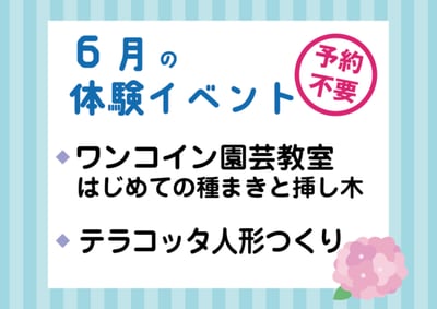 【予約無しでOK】6月の体験イベント（ワンコイン園芸体験／テラコッタ人形づくり）