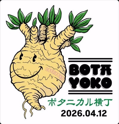 春のボタ横1回目