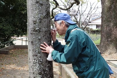 サイエンスレクチャー2026「不思議な生きもの 地衣類」